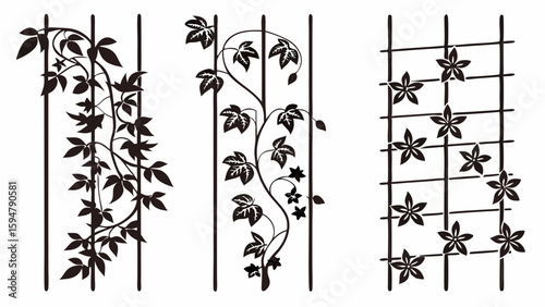 Black and White Silhouette Climbing Plant Vine Trellis Designs. Vector Art Patterns with Lush Foliage and Delicate Flowers for Decorative Garden Panels.