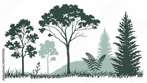Beautiful green forest trees silhouette vector illustration with diverse deciduous and evergreen trees grass and ferns nature landscape background