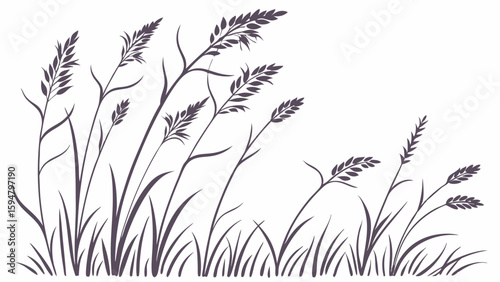 Elegant monochrome silhouette illustration of wild tall grass and swaying reeds, a beautiful natural vector line art design for serene nature inspired projects.