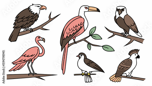 Vibrant cartoon illustration of diverse bird species set featuring an eagle, flamingo, and various wild and tropical perching birds on white background.