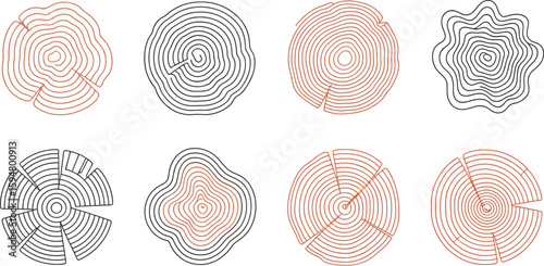 Tree Rings, Wood Slices, Brown and Black Outlines on White Background, Cross Section Set