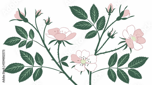 Exquisite Pink Wild Rose Botanical Illustration with Lush Green Leaves, Delicate Buds, and Open Blossoms, a Classic Arts and Crafts Floral Pattern Design