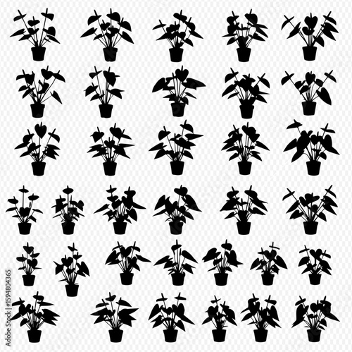 A collection of thirty silhouettes of potted Anthurium plants, each with varying leaf and flower arrangements, displayed on a transparent background.