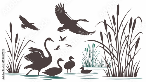 Serene wetland wildlife silhouette vector illustration with flying geese, graceful swans, swimming ducks, and tall cattails. Nature pond marsh scene.