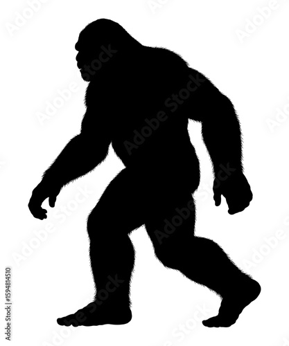 Mysterious Creature Silhouette in Stride A Glimpse into the Enigmatic World of Cryptozoology and Unexplained Phenomena