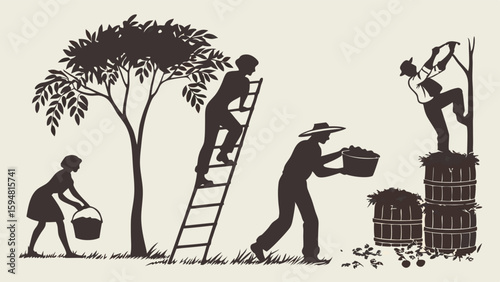 Vintage black and white silhouette illustration of people harvesting fruit from an orchard. Farm workers use ladders, baskets, and poles to gather crops into crates.