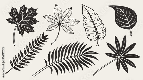 Hand Drawn Botanical Leaves Collection Diverse Foliage Sketch Set Tropical and Temperate Plant Illustrations Black and White Nature Art Vector Graphic Designs