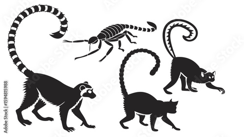 Striking Graphic Black Silhouette Vector Art of Ring-Tailed Lemurs, Small Primates, and a Detailed Exoskeleton Insect Wildlife Illustration