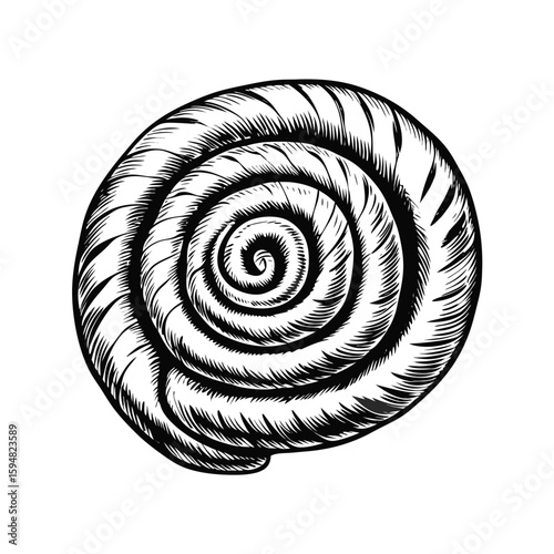 Ensaimada pastry drawing in monochrome, simple pastry illustration with sketch of delicious dessert. Monochrome ensaimada pastry as traditional culinary item.