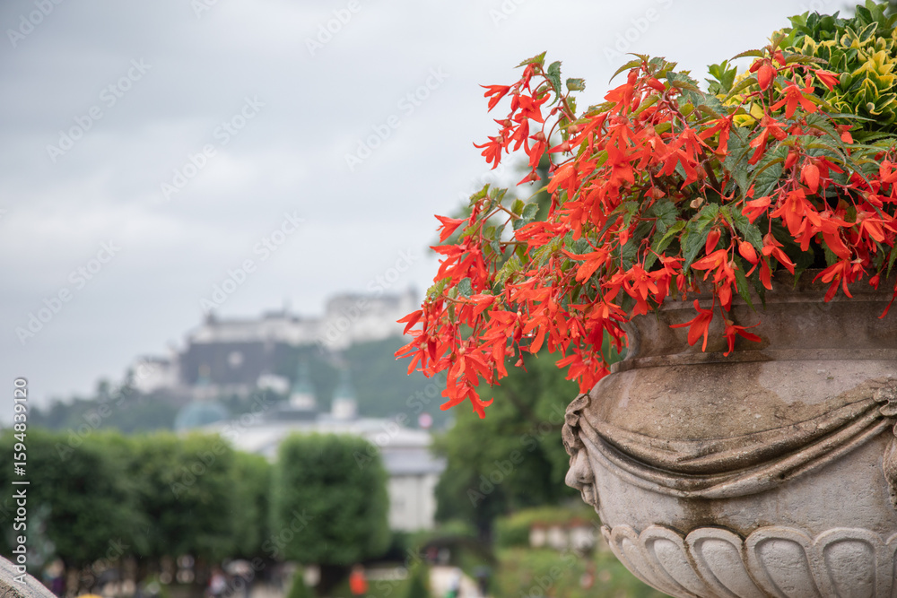 Obraz premium Salzburg, Festung Hohensalzburg im Hintergrund, Mirabellgarten, 