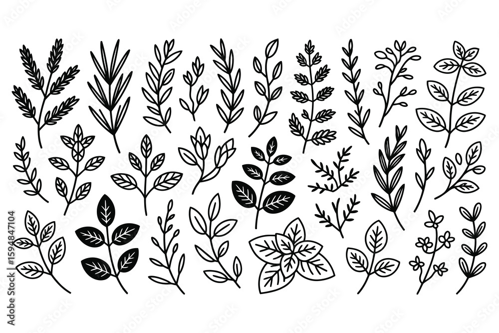 Fototapeta premium Minimalist Hand Drawn Leaf Illustrations for Modern Designs