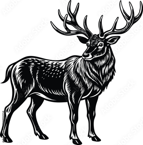 Vector illustration of a wapiti likely a single image with CMYK and grayscale colors