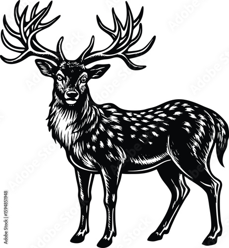 Vector Illustration of a Red Deer Stag with Antlers in a Forest Setting