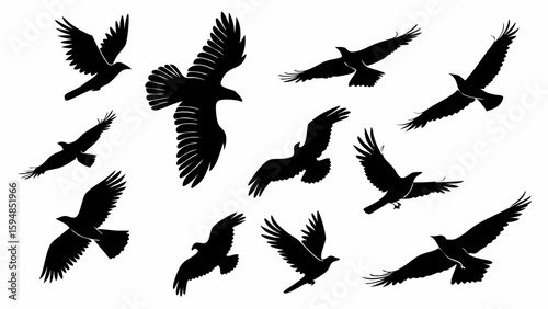 Majestic Black Eagle and Hawk Silhouettes Flying Set. Dynamic Birds of Prey Vector Collection for Nature, Wildlife, and Freedom Designs.