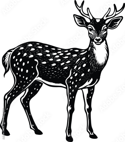 Elegant Spotted Deer Vector Illustration with Detailed Markings and Graceful Pose