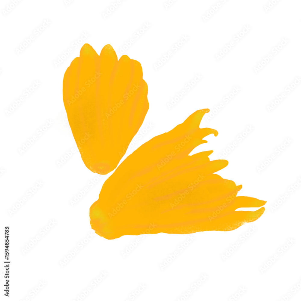 Fototapeta premium Buddha hand citrus a fruit with unique shape 