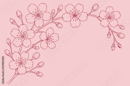 White sakura flower outlines spread across a pink background in this vector, creating a calm, romantic, and minimalist floral atmosphere with seasonal charm.

