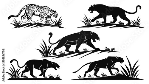 Powerful Black Panther and Striped Tiger Silhouettes. Graphic Big Cat Illustrations with Jungle Grass. Wild Predator Wildlife Vector Art Collection.
