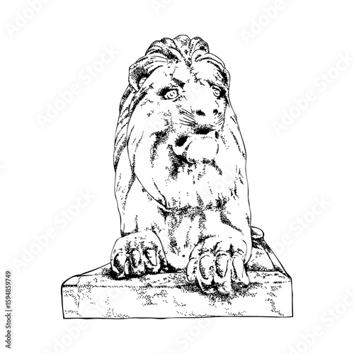 lion vector illustration
