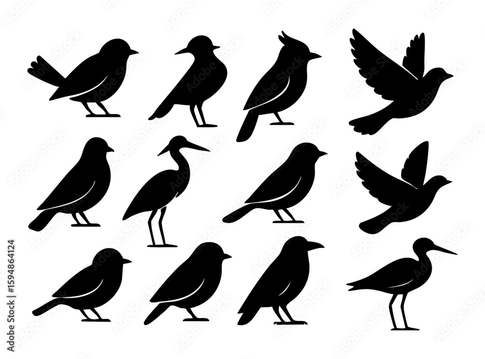 Fototapeta premium Birds Silhouette Designs