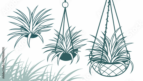 Minimalist green line art vector illustration featuring three indoor plants, two in stylish hanging planters, superb for modern home decor and gardening concepts.