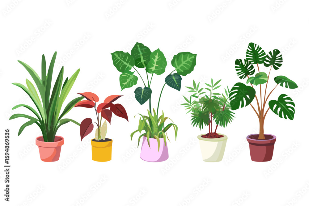 Fototapeta premium A collection of five potted houseplants with diverse foliage and colorful planters