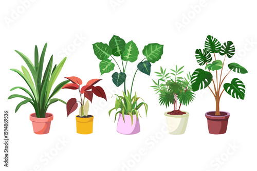 A collection of five potted houseplants with diverse foliage and colorful planters
