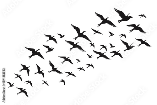 Silhouette of a flock of birds flying in formation against a White background