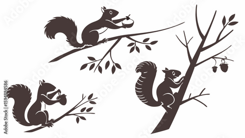 Cute squirrels on tree branches with acorns. Wildlife nature animal silhouettes. Autumn fall season vector illustration set.