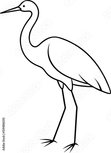 Wading Bird Shoreline Sketch