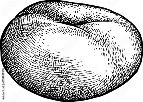 Donut peach ink sketch