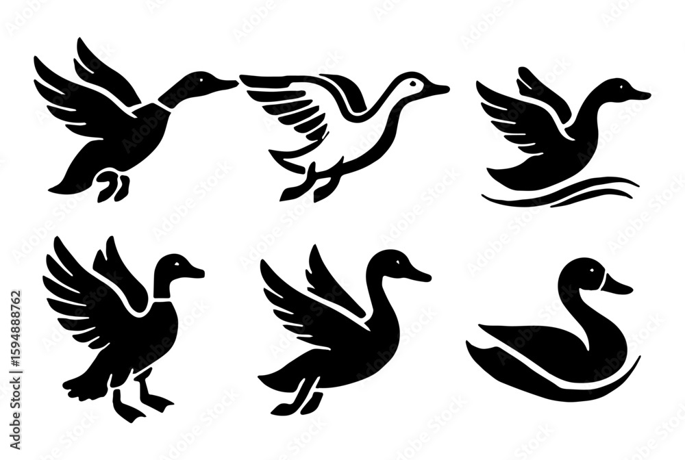 Obraz premium Six Black Silhouette Ducks and Swans, Bird Icons, Waterfowl, Vector Illustration