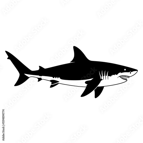 Black shark silhouette on white background isolated on white background
