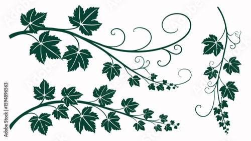 Green vine leaves vector illustration set. Nature plant foliage decorative design elements for borders and frames.