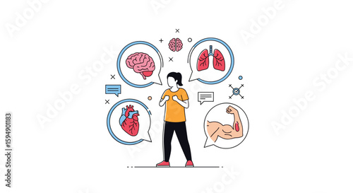 Understanding the human body systems and their vital functions for overall health and wellness