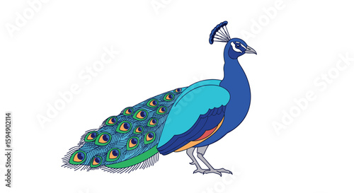 Majestic indian peafowl displays its radiant blue and green plumage in natural sunlight a stunning avian creature