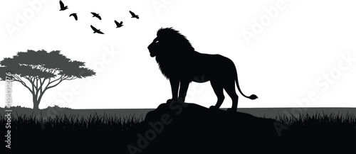 Vector art of a majestic lion stands proudly on a rocky outcrop, its silhouette isolated on white background, overlooking the vast african savanna as birds soar overhead
