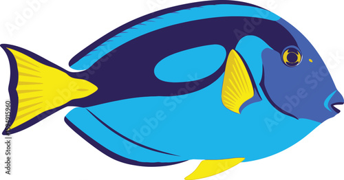 Illustration of a blue tang fish with yellow fins and dark blue markings on a white background