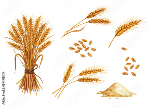 Vector watercolor wheat, flour / 水彩テイストの小麦イラスト