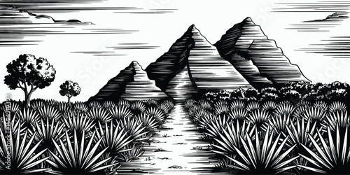 Agave Field Harvest – Retro Engraved Woodcut Illustration Celebrating Traditional Tequila Production, Hand‑Drawn Vector Scene Ideal for Rustic Menu or Vintage Poster