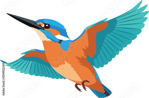 Illustration of a kingfisher bird with orange chest and blue wings in flight on white background