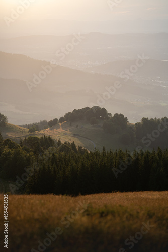 Ausblick vom Hinterwaldkopf über das Dreisamtal bei Sonnenuntergang mit Kühen im Vordergrund