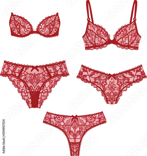 Exquisite Pink and Red Lace Lingerie Collection, Sensual Women's Underwear with Detailed Bra and Various Panty Styles, Intimate Apparel.