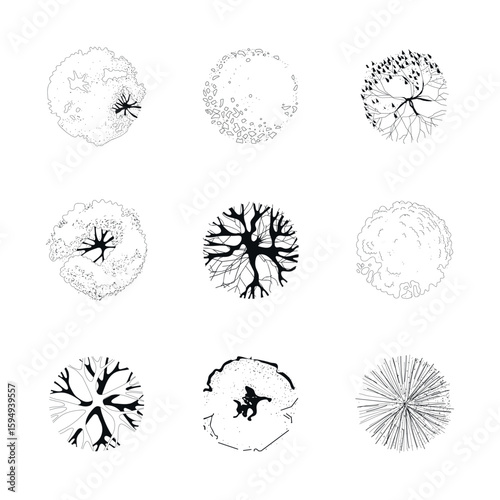 Silhouettes of majestic and beautiful trees. View from above. It is ideal for landscape design, architectural plans and urban graphic elements for maps, drawings, master plans