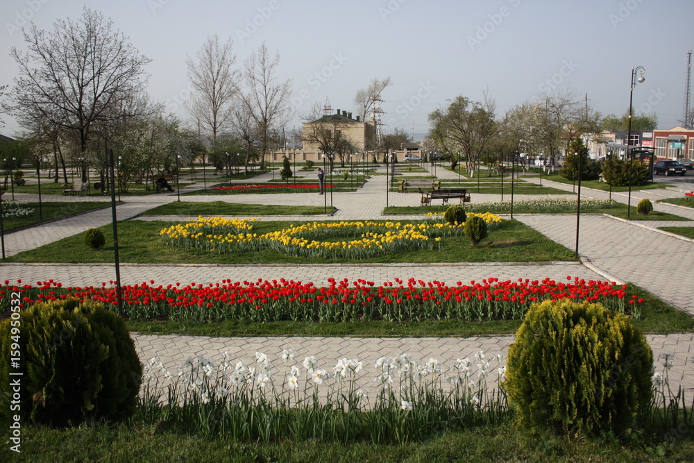 Obraz premium tulips in the park