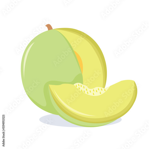 
Flat vector melon fruit elements objects for clipart