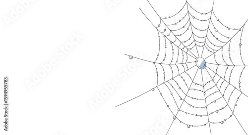 Spider web with dew drops illustration on white background