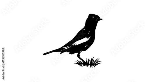 Black Lark bird, black isolated silhouette