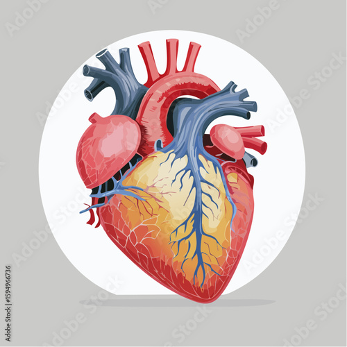Anatomical Heart: A detailed illustration of the human heart, showcasing its intricate structure and vital functions, symbolizing life, health, and the essence of being.