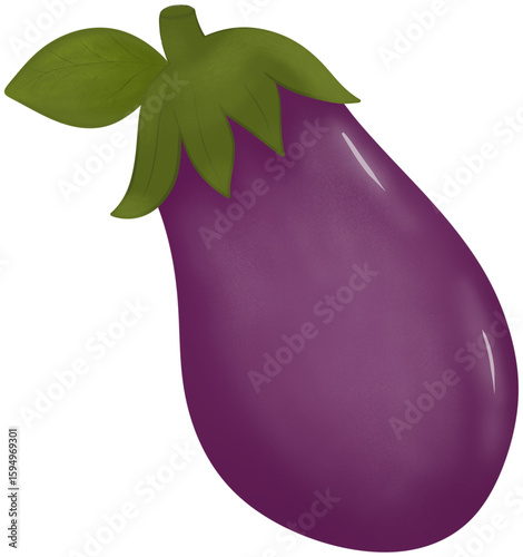 aubergine purple eggplant